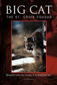 Produktbild: Big Cat