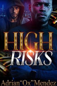 Produktbild: High Risks