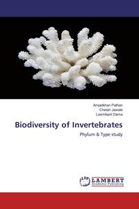 Produktbild: Biodiversity of Invertebrates