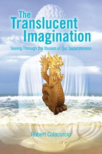 Produktbild: The Translucent Imagination