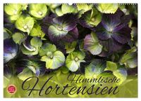 Produktbild: Himmlische Hortensien (Wandkalender 2026 DIN A2 quer), CALVENDO Monatskalender