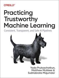 Produktbild: Practicing Trustworthy Machine Learning