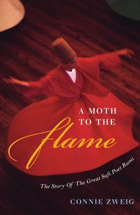 Produktbild: Zweig, C: Moth to the Flame
