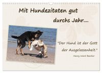 Produktbild: Mit Hundezitaten gut durchs Jahr / CH-Version (Wandkalender 2026 DIN A3 quer), CALVENDO Monatskalender