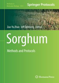 Produktbild: Sorghum