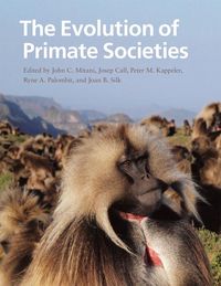 Produktbild: The Evolution of Primate Societies