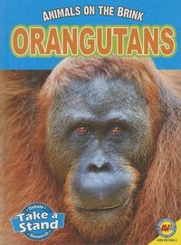 Produktbild: Orangutans