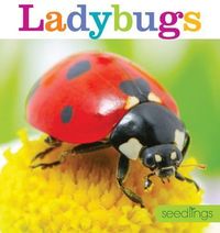 Produktbild: Seedlings: Ladybugs