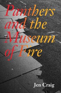 Produktbild: Panthers and the Museum of Fire