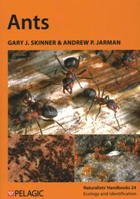 Produktbild: Ants