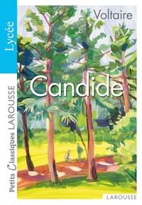 Produktbild: Candide : sp&eacute;cial lyc&eacute;e