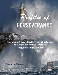 Produktbild: Profiles of Perseverance