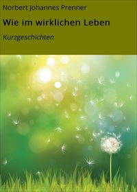 Produktbild: Wie im wirklichen Leben