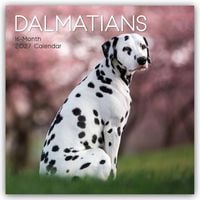 Produktbild: Dalmatians &ndash; Dalmatiner 2027 &ndash; 16-Monatskalender