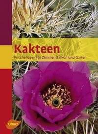 Produktbild: Kakteen