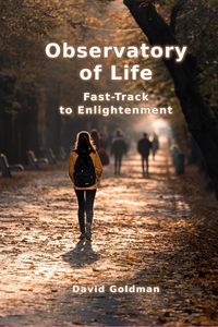 Produktbild: Observatory of Life: Fast-Track to Enlightenment