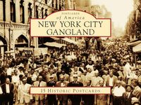 Produktbild: New York City Gangland