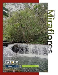 Produktbild: Municipio de Miraflores (Guaviare)