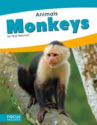 Produktbild: Monkeys