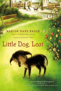 Produktbild: Little Dog, Lost