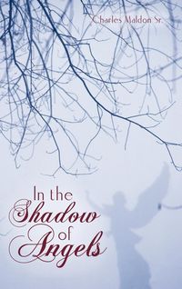 Produktbild: In the Shadow of Angels