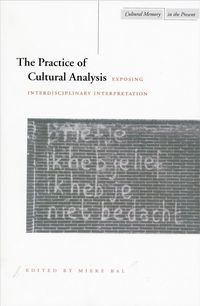 Produktbild: The Practice of Cultural Analysis