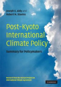 Produktbild: Post-Kyoto International Climate Policy