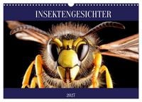 Produktbild: INSEKTENGESICHTER (Wandkalender 2027 DIN A3 quer), CALVENDO Monatskalender