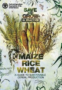 Produktbild: Save & Grow