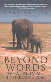 Produktbild: Safina, C: Beyond Words