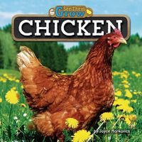 Produktbild: Chicken