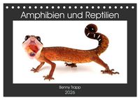 Produktbild: Amphibien und Reptilien (Tischkalender 2026 DIN A5 quer), CALVENDO Monatskalender
