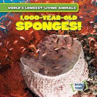 Produktbild: 1,000-Year-Old Sponges!