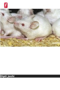 Produktbild: Efeito da suplementa&ccedil;&atilde;o com fluoreto de s&oacute;dio e amino&aacute;cidos nos test&iacute;culos