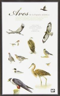 Produktbild: Aves de la Espa&ntilde;a atl&aacute;ntica