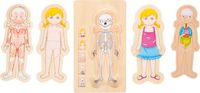 Produktbild: Schichtenpuzzle Anatomie M&auml;dchen