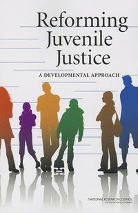 Produktbild: Reforming Juvenile Justice