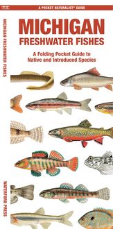 Produktbild: Michigan Freshwater Fishes
