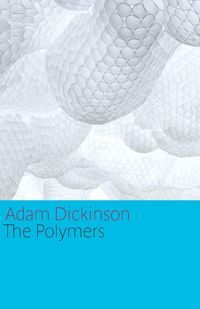 Produktbild: The Polymers