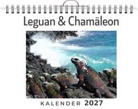 Produktbild: Leguan & Cham&auml;leon