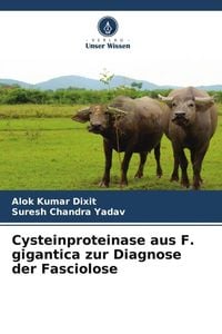 Produktbild: Cysteinproteinase aus F. gigantica zur Diagnose der Fasciolose