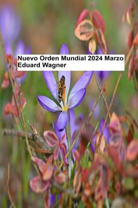 Produktbild: Nuevo Orden Mundial - Marzo 2024