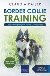 Bild vom Artikel Border Collie Training - Dog Training for your Border Collie puppy vom Autor Claudia Kaiser