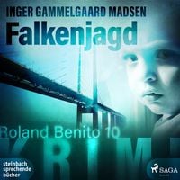 Produktbild: Falkenjagd - Roland Benito-Krimi 10
