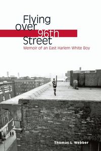 Produktbild: Flying Over 96th Street