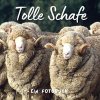 Produktbild: Tolle Schafe