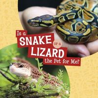 Produktbild: Is a Snake or a Lizard the Pet for Me?