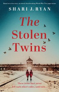 Produktbild: The Stolen Twins