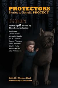 Produktbild: Protectors