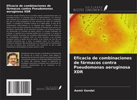 Produktbild: Eficacia de combinaciones de f&aacute;rmacos contra Pseudomonas aeruginosa XDR